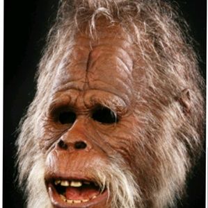 Meet your Posher, Rosanna